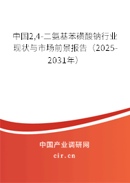 中國2,4-二氨基苯磺酸鈉行業(yè)現(xiàn)狀與市場(chǎng)前景報(bào)告（2025-2031年）