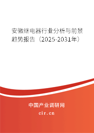 安徽繼電器行業(yè)分析與前景趨勢報告（2025-2031年）