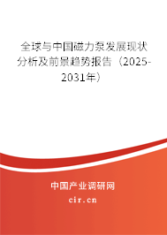 全球與中國磁力泵發(fā)展現(xiàn)狀分析及前景趨勢報(bào)告（2025-2031年）