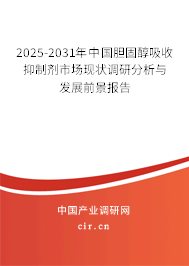 2025-2031年中國膽固醇吸收抑制劑市場(chǎng)現(xiàn)狀調(diào)研分析與發(fā)展前景報(bào)告