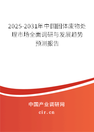 2025-2031年中國固體廢物處理市場全面調(diào)研與發(fā)展趨勢預(yù)測報告