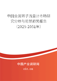 中國金屬轉(zhuǎn)子流量計(jì)市場研究分析與前景趨勢報(bào)告（2025-2031年）