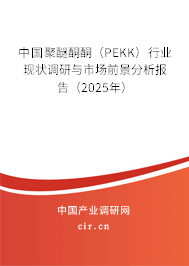 中國聚醚酮酮(PEKK)行業(yè)現狀調研與市場前景分析報告(2025年) 中國聚醚酮酮(PEKK)行業(yè)現狀調研與市場前景分析報告(2025年)
