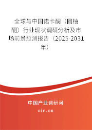 全球與中國諾卡酮（圓柚酮）行業(yè)現(xiàn)狀調(diào)研分析及市場前景預(yù)測報(bào)告（2025-2031年）