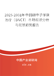2025-2031年中國硼中子俘獲治療（BNCT）市場現(xiàn)狀分析與前景趨勢報告