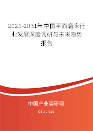 2025-2031年中國平面磨床行業(yè)發(fā)展深度調(diào)研與未來趨勢報告