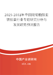 2025-2031年中國(guó)葡萄糖酸亞鐵膠囊行業(yè)專題研究分析與發(fā)展趨勢(shì)預(yù)測(cè)報(bào)告