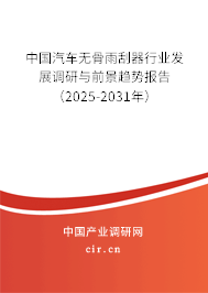 中國(guó)汽車(chē)無(wú)骨雨刮器行業(yè)發(fā)展調(diào)研與前景趨勢(shì)報(bào)告（2025-2031年）