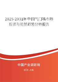 2025-2031年中國氣門嘴市場現(xiàn)狀與前景趨勢分析報告