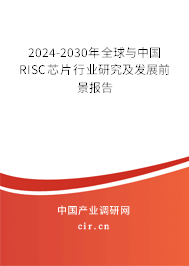 2024-2030年全球與中國RISC芯片行業(yè)研究及發(fā)展前景報告