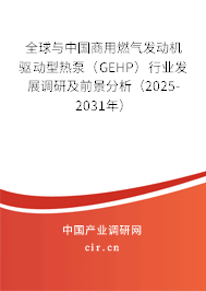 全球與中國商用燃?xì)獍l(fā)動機驅(qū)動型熱泵（GEHP）行業(yè)發(fā)展調(diào)研及前景分析（2025-2031年）