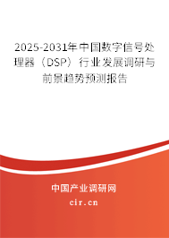 2025-2031年中國(guó)數(shù)字信號(hào)處理器（DSP）行業(yè)發(fā)展調(diào)研與前景趨勢(shì)預(yù)測(cè)報(bào)告
