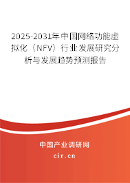 2025-2031年中國(guó)網(wǎng)絡(luò)功能虛擬化（NFV）行業(yè)發(fā)展研究分析與發(fā)展趨勢(shì)預(yù)測(cè)報(bào)告
