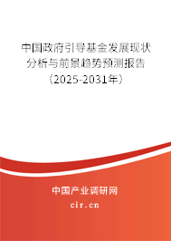 中國政府引導(dǎo)基金發(fā)展現(xiàn)狀分析與前景趨勢預(yù)測報告（2025-2031年）