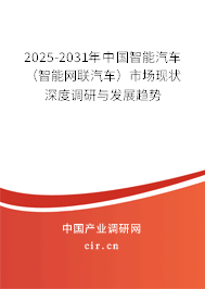 2025-2031年中國智能汽車（智能網(wǎng)聯(lián)汽車）市場現(xiàn)狀深度調(diào)研與發(fā)展趨勢(shì)