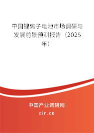 中國鋰離子電池市場調(diào)研與發(fā)展前景預(yù)測報(bào)告（2025年）
