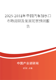 2025-2031年中國汽車加水口市場調研及發(fā)展前景預測報告