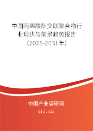 中國丙烯酸酯交聯(lián)聚合物行業(yè)現(xiàn)狀與前景趨勢報(bào)告（2024-2030年）