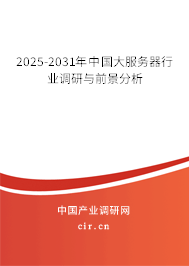 2025-2031年中國大服務(wù)器行業(yè)調(diào)研與前景分析