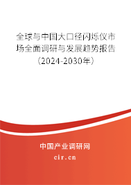 全球與中國(guó)大口徑閃爍儀市場(chǎng)全面調(diào)研與發(fā)展趨勢(shì)報(bào)告（2024-2030年）