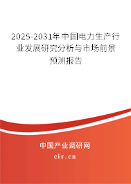 2025-2031年中國電力生產(chǎn)行業(yè)發(fā)展研究分析與市場前景預(yù)測報告