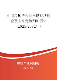 中國房地產(chǎn)金融市場現(xiàn)狀調(diào)查及未來走勢預(yù)測報(bào)告（2025-2031年）