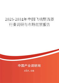 2025-2031年中國飛機(jī)整流罩行業(yè)調(diào)研與市場前景報(bào)告