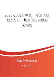 2025-2031年中國干冰清洗機器人行業(yè)市場調(diào)研與前景趨勢報告