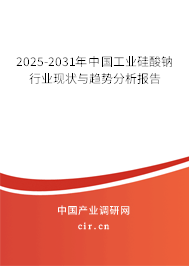 2025-2031年中國工業(yè)硅酸鈉行業(yè)現(xiàn)狀與趨勢(shì)分析報(bào)告