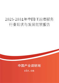 2025-2031年中國IT運(yùn)維服務(wù)行業(yè)現(xiàn)狀與發(fā)展前景報告