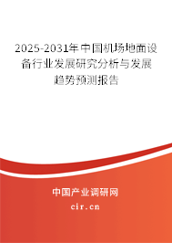 2025-2031年中國機場地面設備行業(yè)發(fā)展研究分析與發(fā)展趨勢預測報告