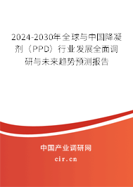 2024-2030年全球與中國(guó)降凝劑（PPD）行業(yè)發(fā)展全面調(diào)研與未來(lái)趨勢(shì)預(yù)測(cè)報(bào)告