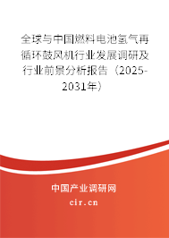 全球與中國(guó)燃料電池氫氣再循環(huán)鼓風(fēng)機(jī)行業(yè)發(fā)展調(diào)研及行業(yè)前景分析報(bào)告（2025-2031年）