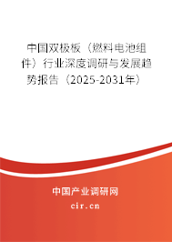 中國(guó)雙極板（燃料電池組件）行業(yè)深度調(diào)研與發(fā)展趨勢(shì)報(bào)告（2025-2031年）