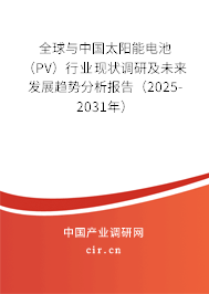 全球與中國太陽能電池（PV）行業(yè)現(xiàn)狀調(diào)研及未來發(fā)展趨勢分析報告（2025-2031年）