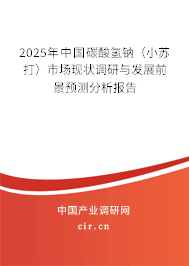 2025年中國(guó)碳酸氫鈉(小蘇打)市場(chǎng)現(xiàn)狀調(diào)研與發(fā)展前景預(yù)測(cè)分析報(bào)告 2025年中國(guó)碳酸氫鈉(小蘇打)市場(chǎng)現(xiàn)狀調(diào)研與發(fā)展前景預(yù)測(cè)分析報(bào)告