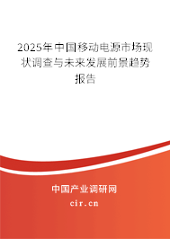 2025年中國(guó)移動(dòng)電源市場(chǎng)現(xiàn)狀調(diào)查與未來(lái)發(fā)展前景趨勢(shì)報(bào)告