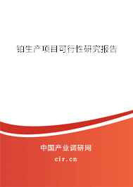 鉑生產(chǎn)項(xiàng)目可行性研究報(bào)告