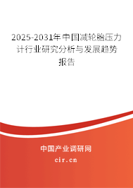 2025-2031年中國(guó)減輪胎壓力計(jì)行業(yè)研究分析與發(fā)展趨勢(shì)報(bào)告