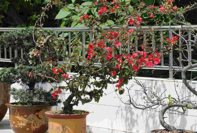 重慶市醫(yī)藥經(jīng)貿(mào)學(xué)校簡(jiǎn)介、概況