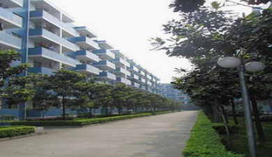 重慶市蜀都職業(yè)技術學校在哪里、學校地址