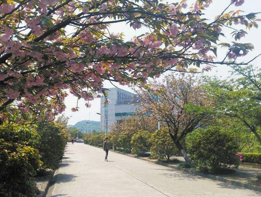 重慶益民技工學(xué)校在哪里、學(xué)校地址