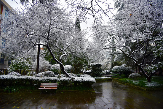 重慶市春琿人文技工學(xué)校