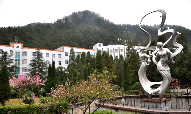 貴州省貴陽(yáng)市有那些衛(wèi)校 貴州省貴陽(yáng)市有那些衛(wèi)校